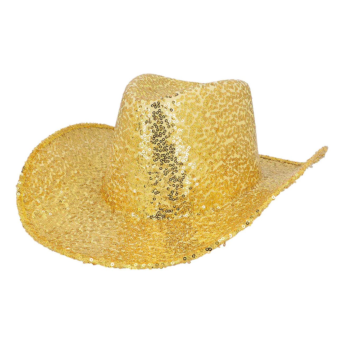 hat-rodeo-party-gold-103213-4