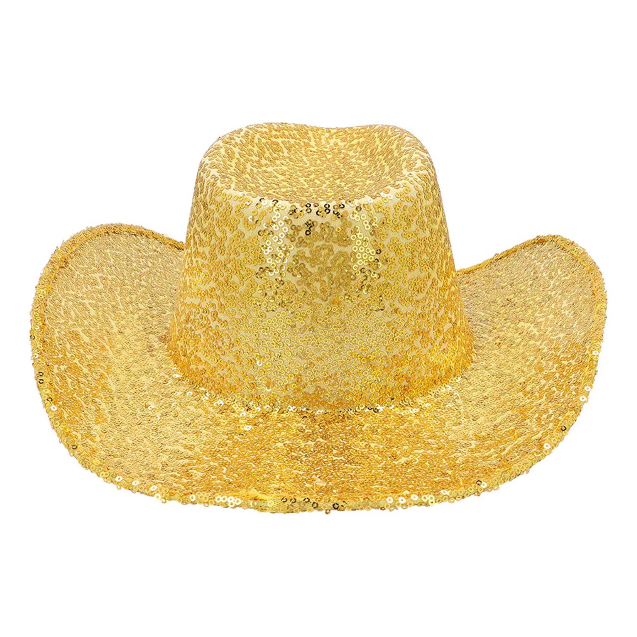 hat-rodeo-party-gold-103213-5