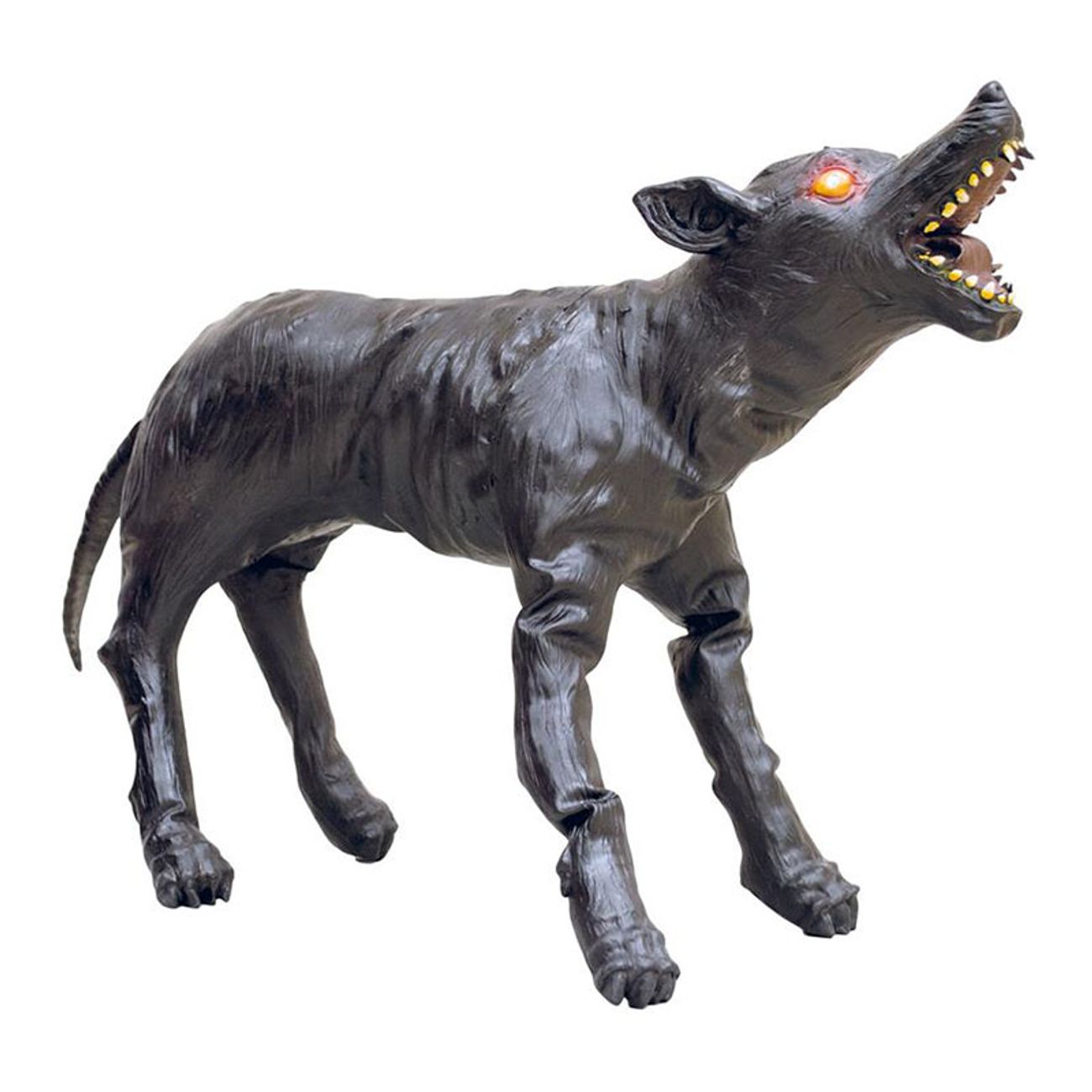 hund-prop-med-lysande-ogon-77012-1