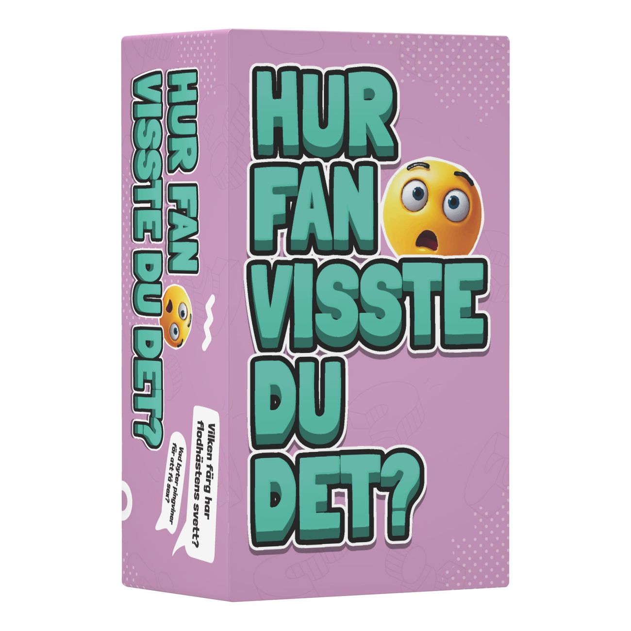 hur-fan-visste-du-det-fragespel-104244-1