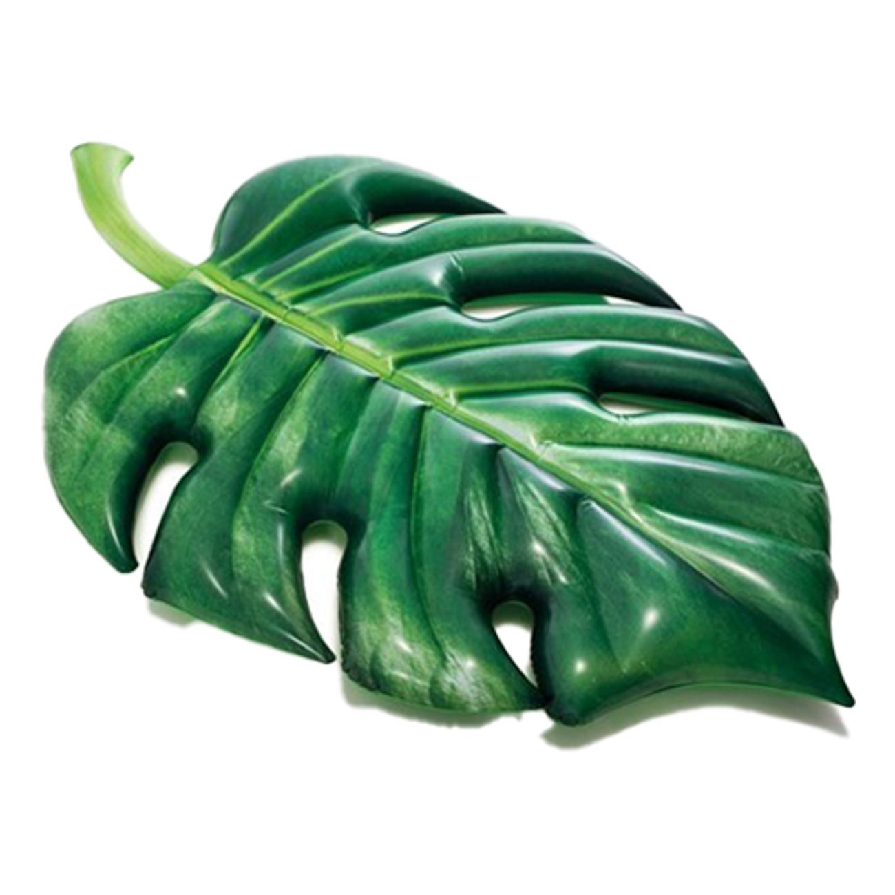 intex-palm-leaf-badmadrass-1