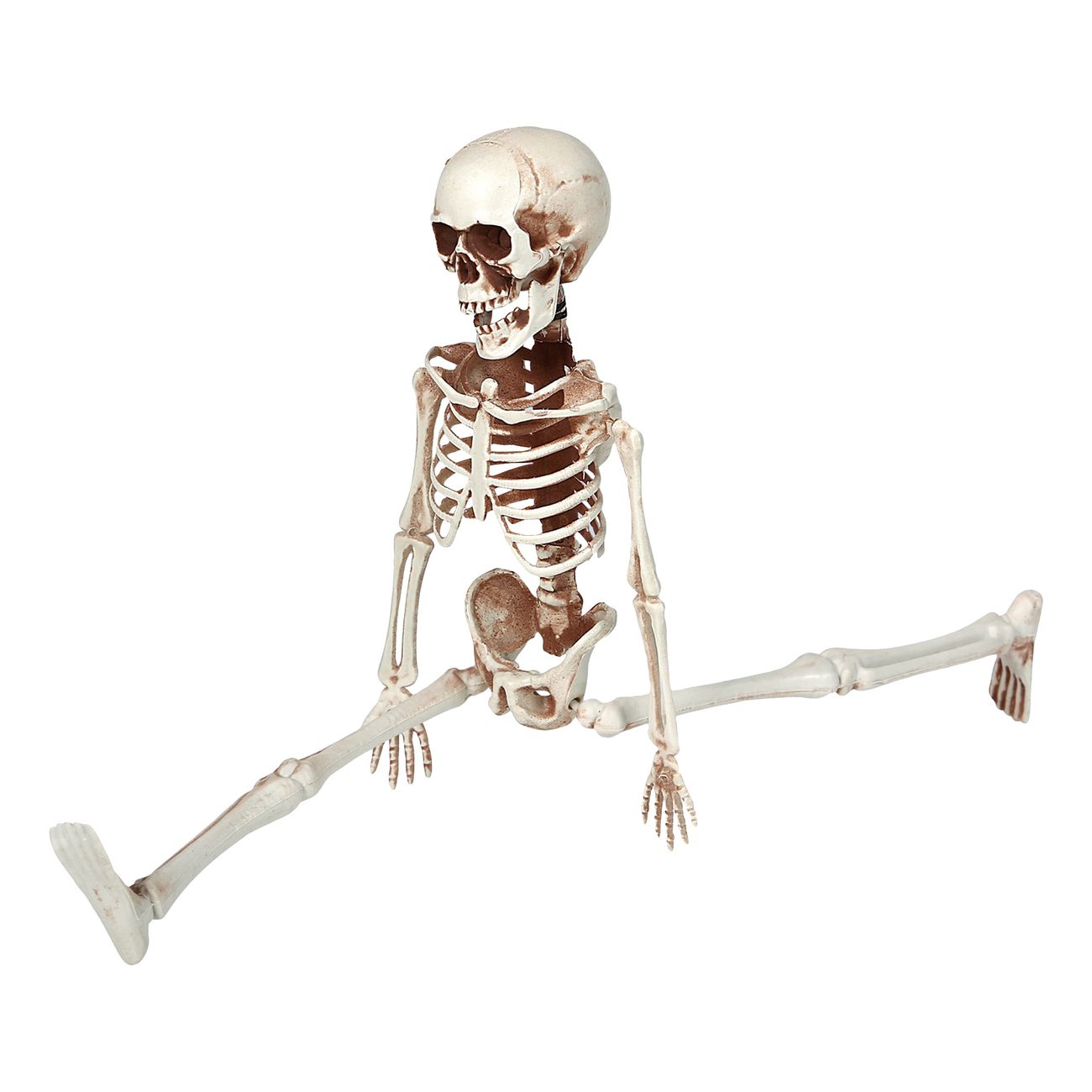 justerbart-skelett-59040-3