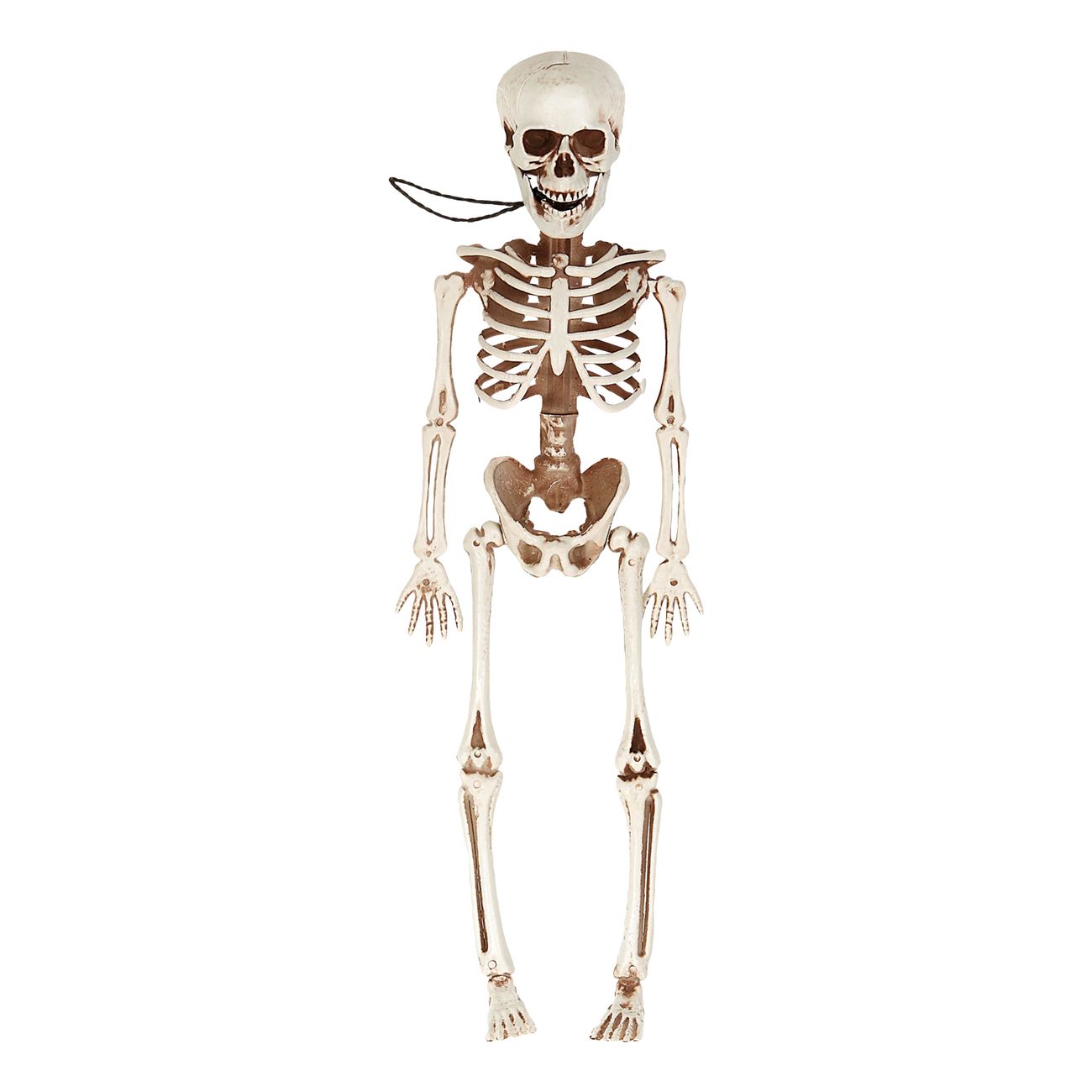 justerbart-skelett-59040-4