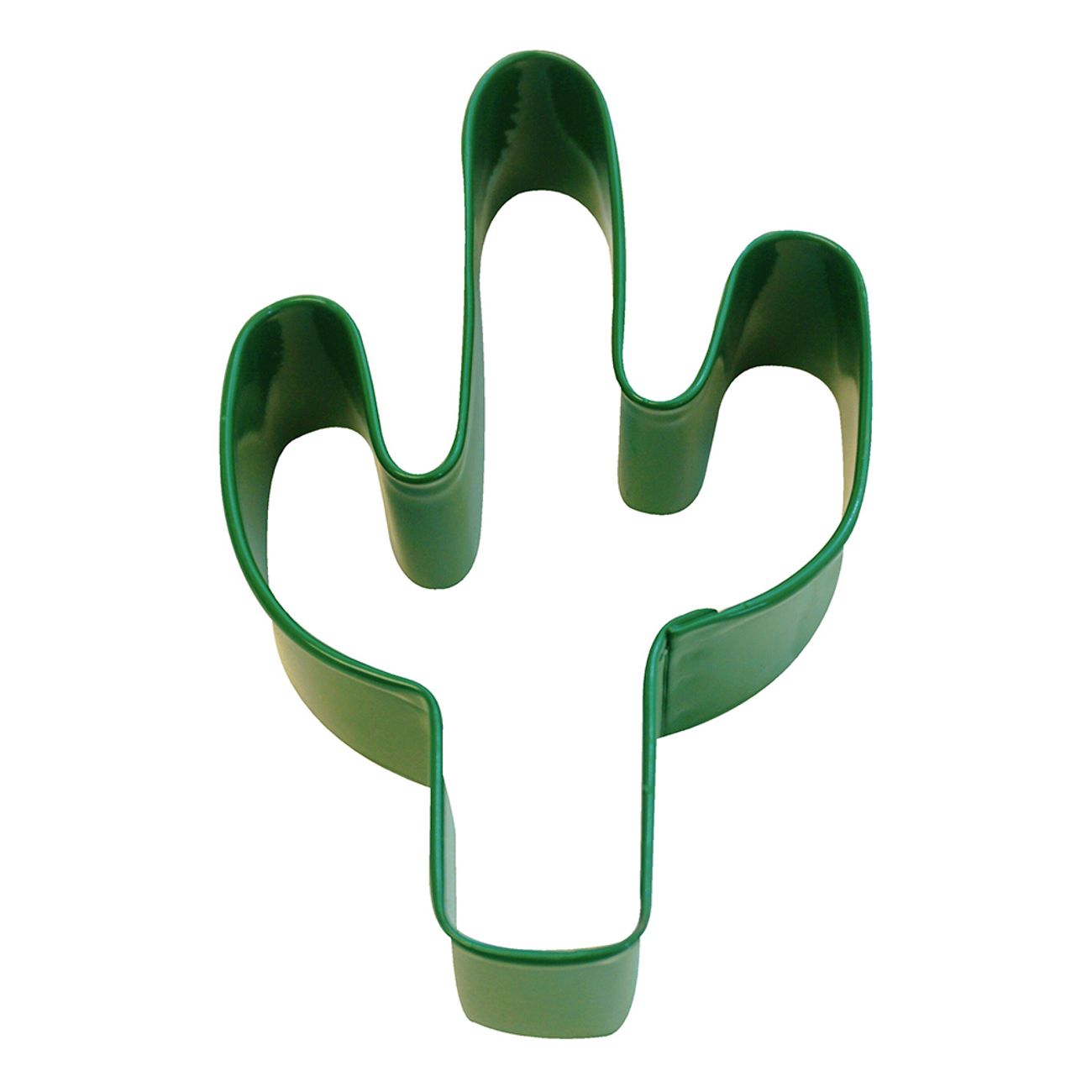 kakform-kaktus-1