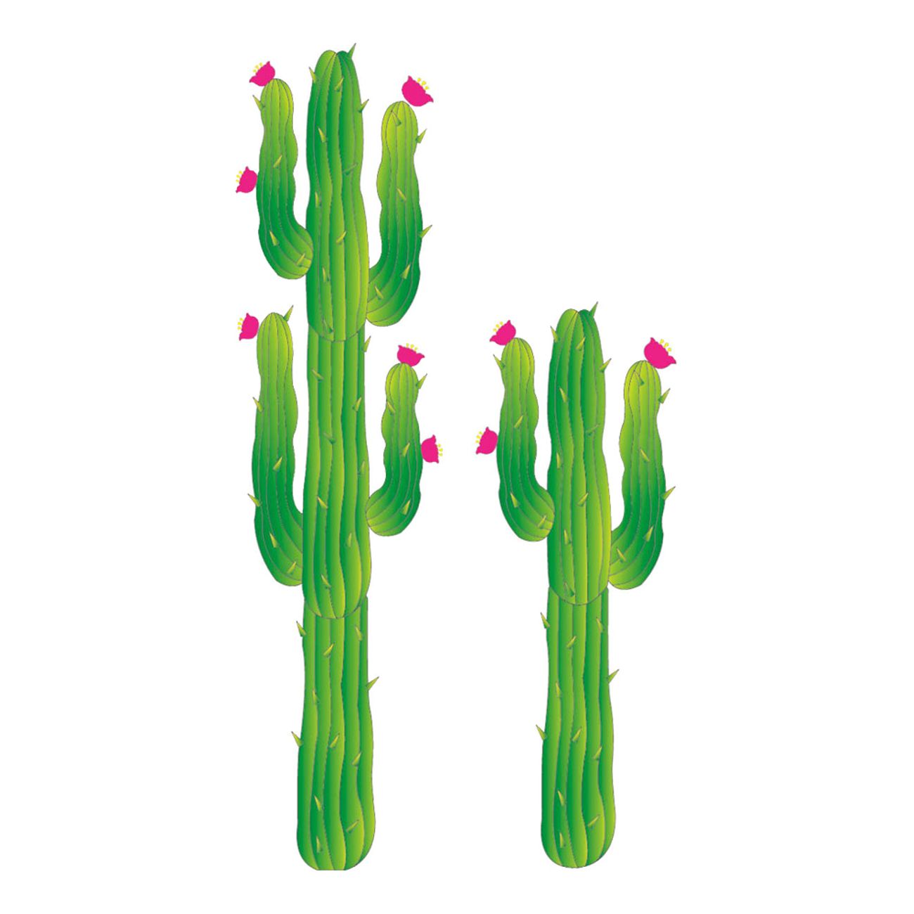 kaktus-i-papp-1