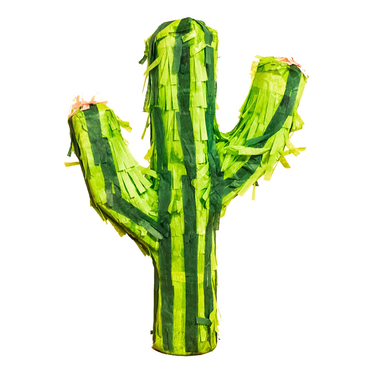 kaktus-pinata-1