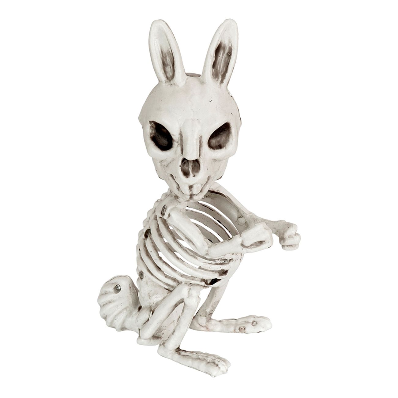 kanin-skelett-prop-76587-1