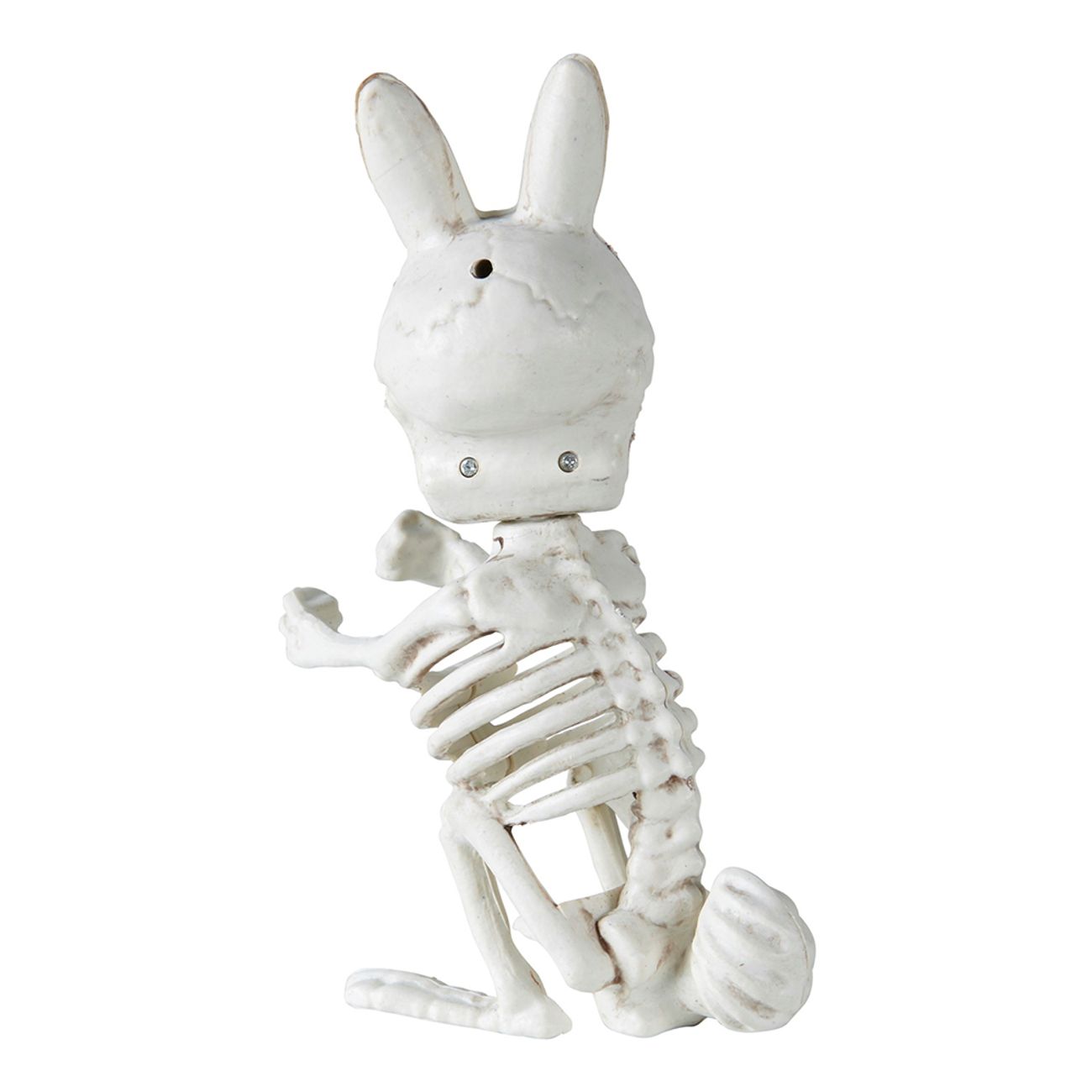 kanin-skelett-prop-76587-2