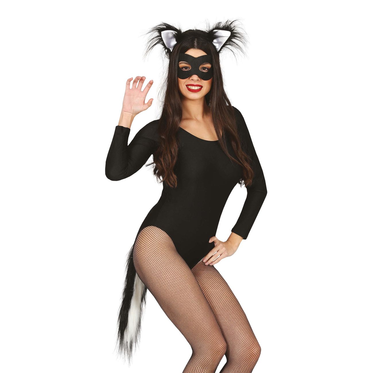 Katt Tillbehörskit