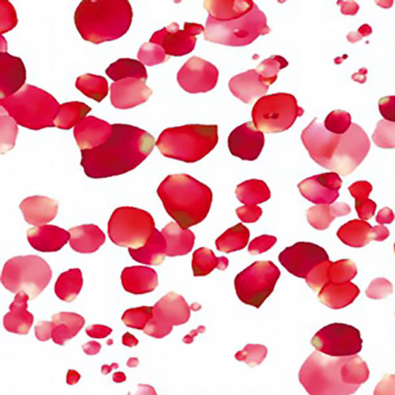 konfettikanon-rosenblad-76442-2