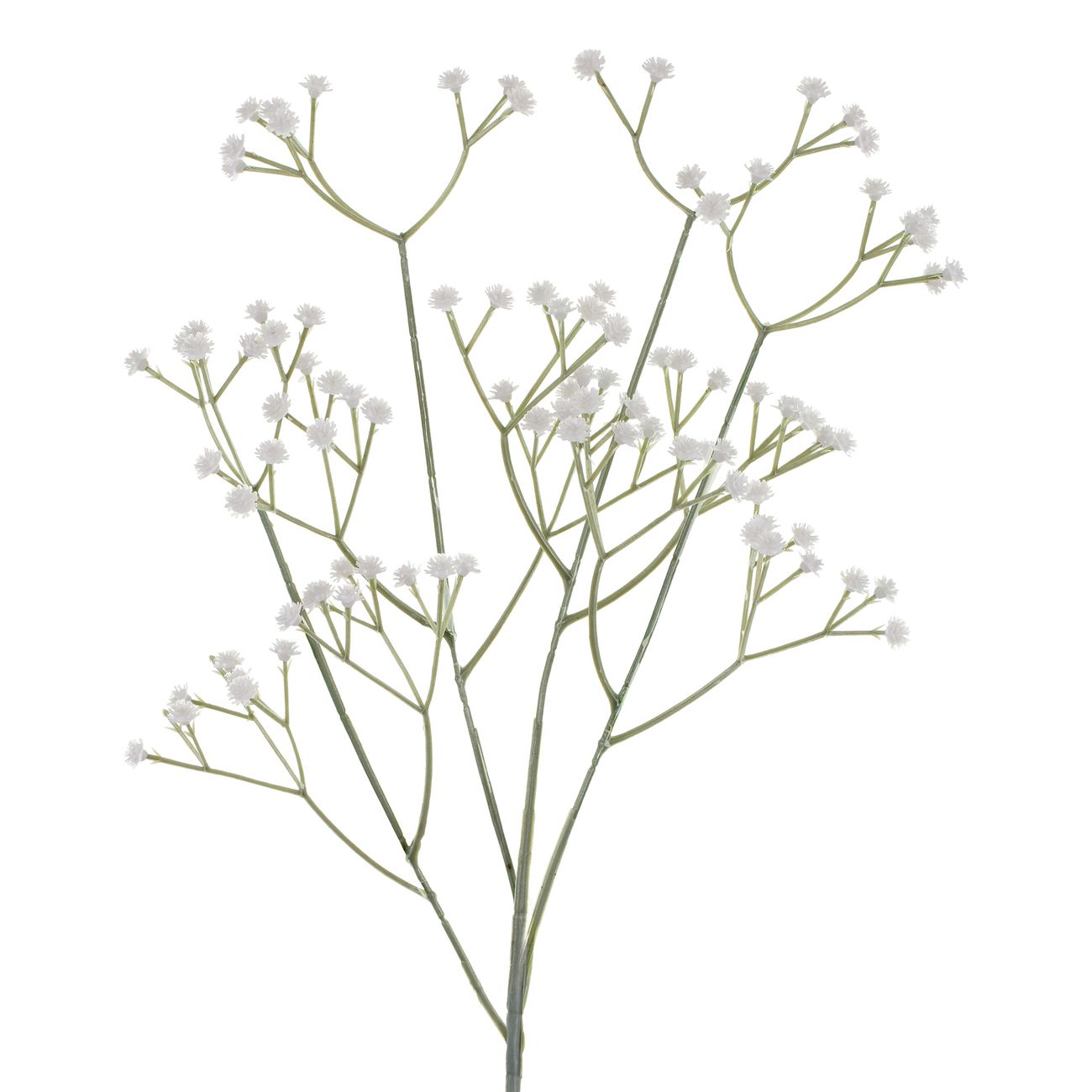 Tekokukka Harsokukat Valkoinen