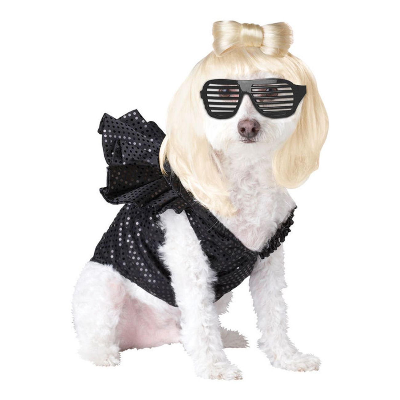 lady-gaga-hund-maskeraddrakt-1