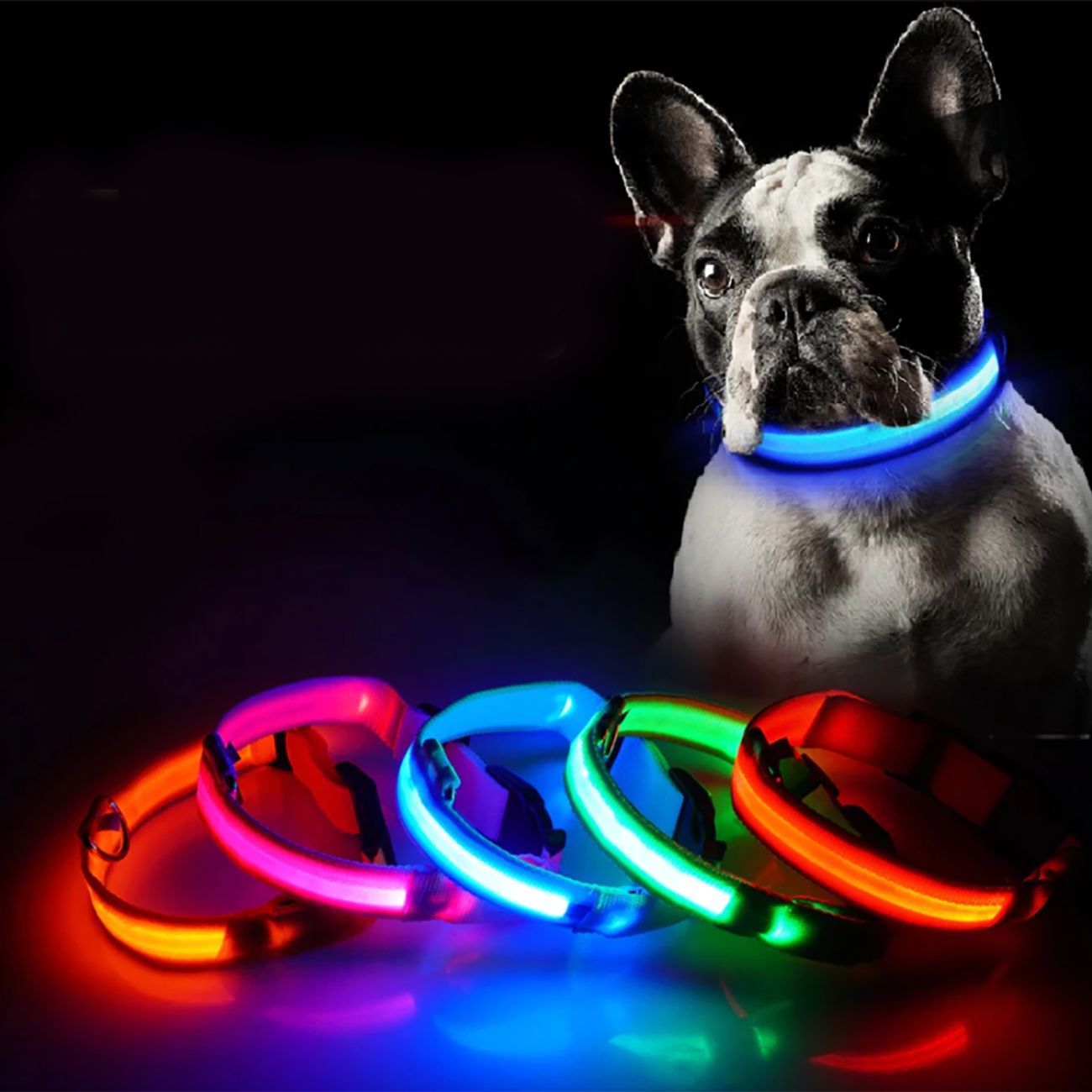 led-hundhalsband-72788-3