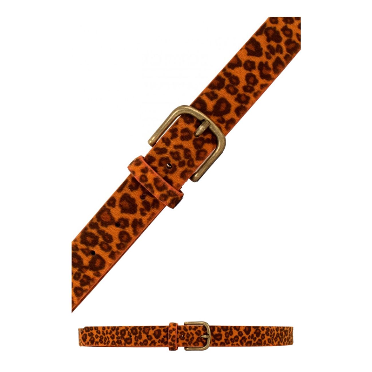 leopardbalte-orange-75639-1