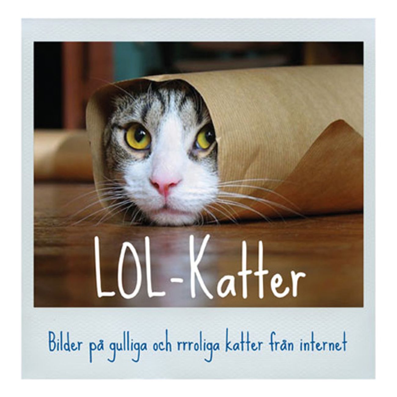 lol-katter-1