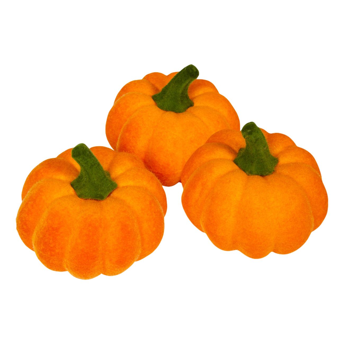 Ludna Pumpor