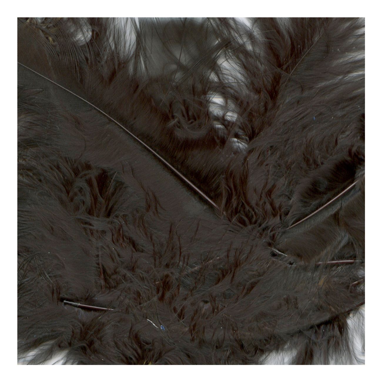 marabou-fjadrar-svart-1