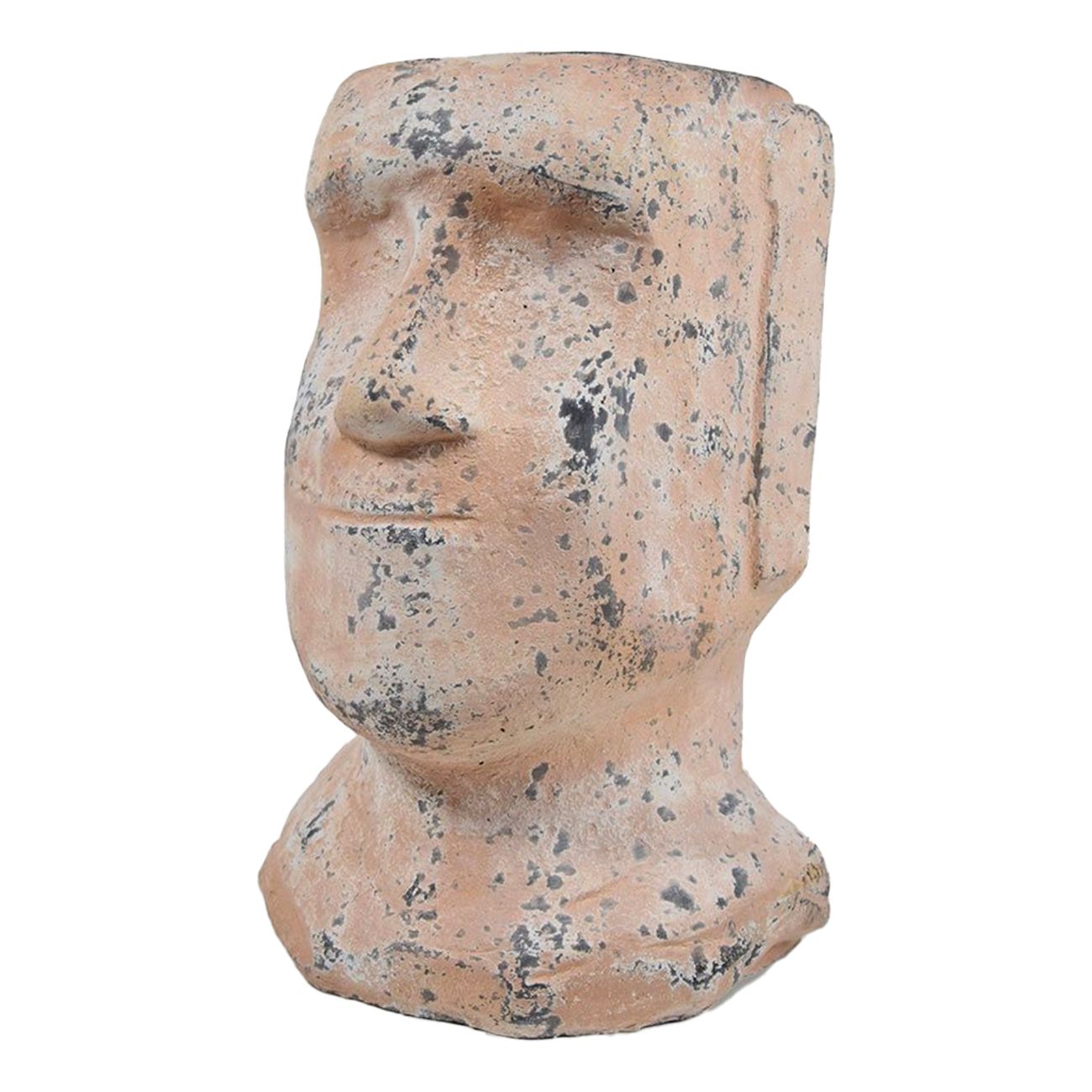 moai-vaxtkruka-98872-1