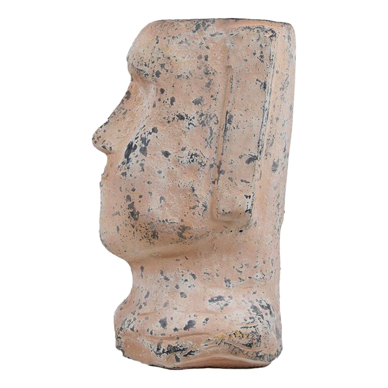 moai-vaxtkruka-98872-2