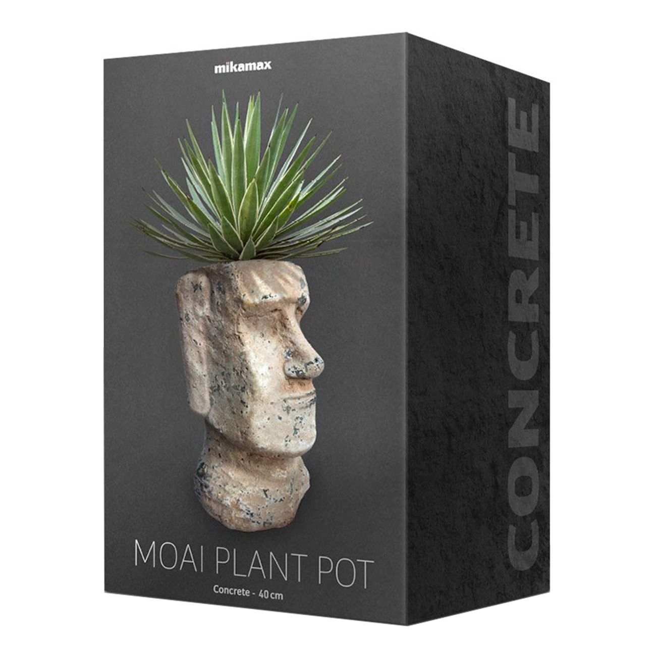 moai-vaxtkruka-98872-4