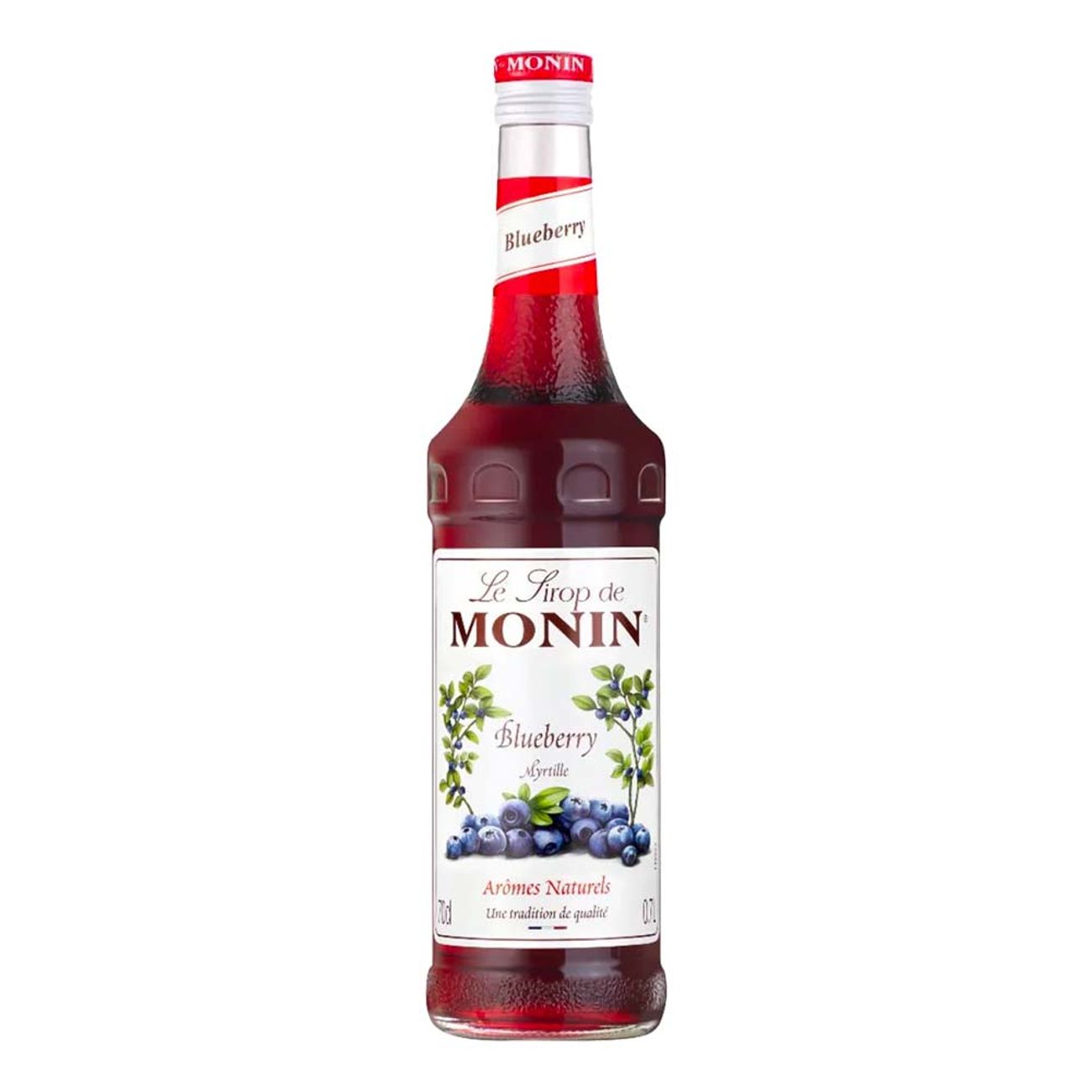 monin-blueberry-syrup-99087-1
