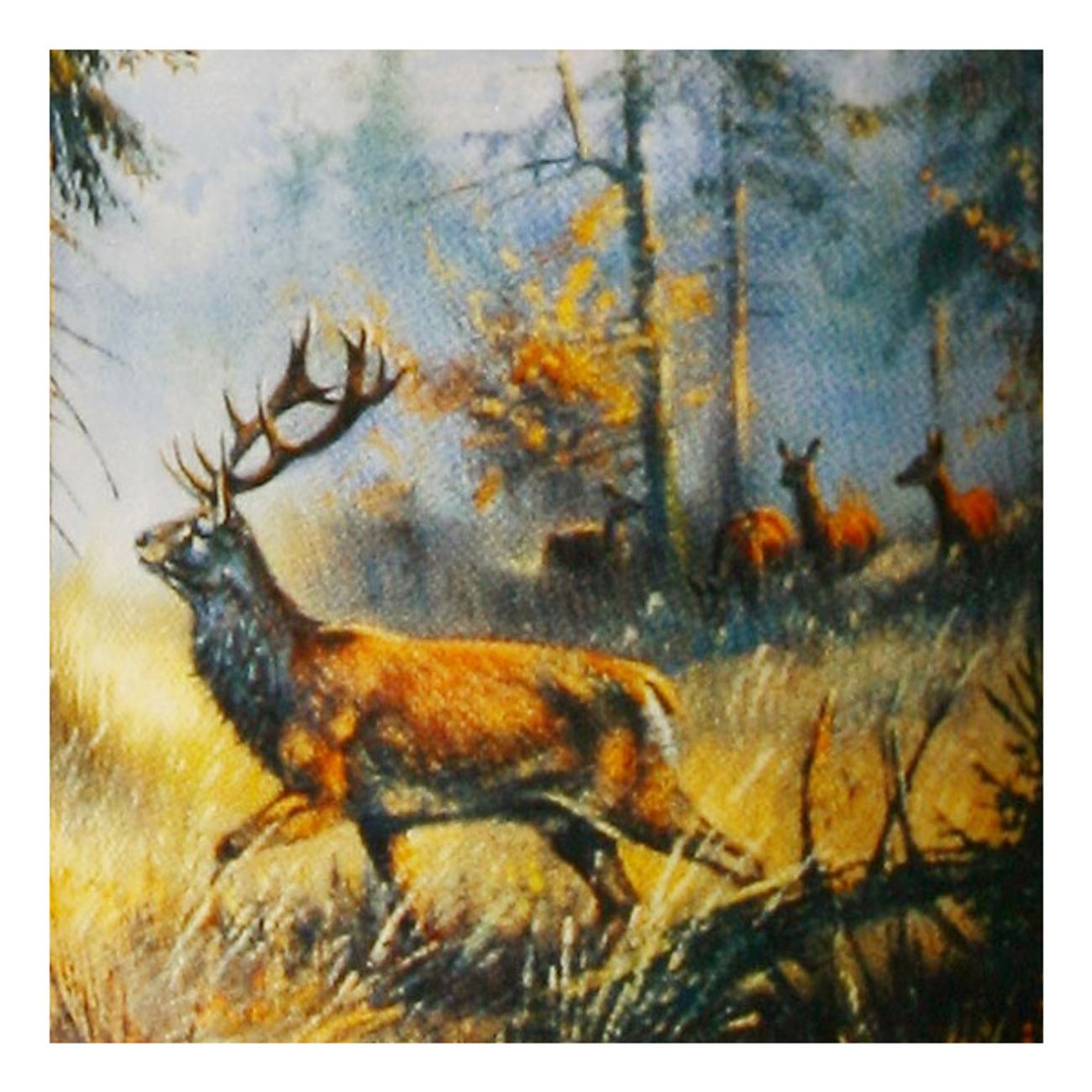 muhleck-wild-stag-olglas-2