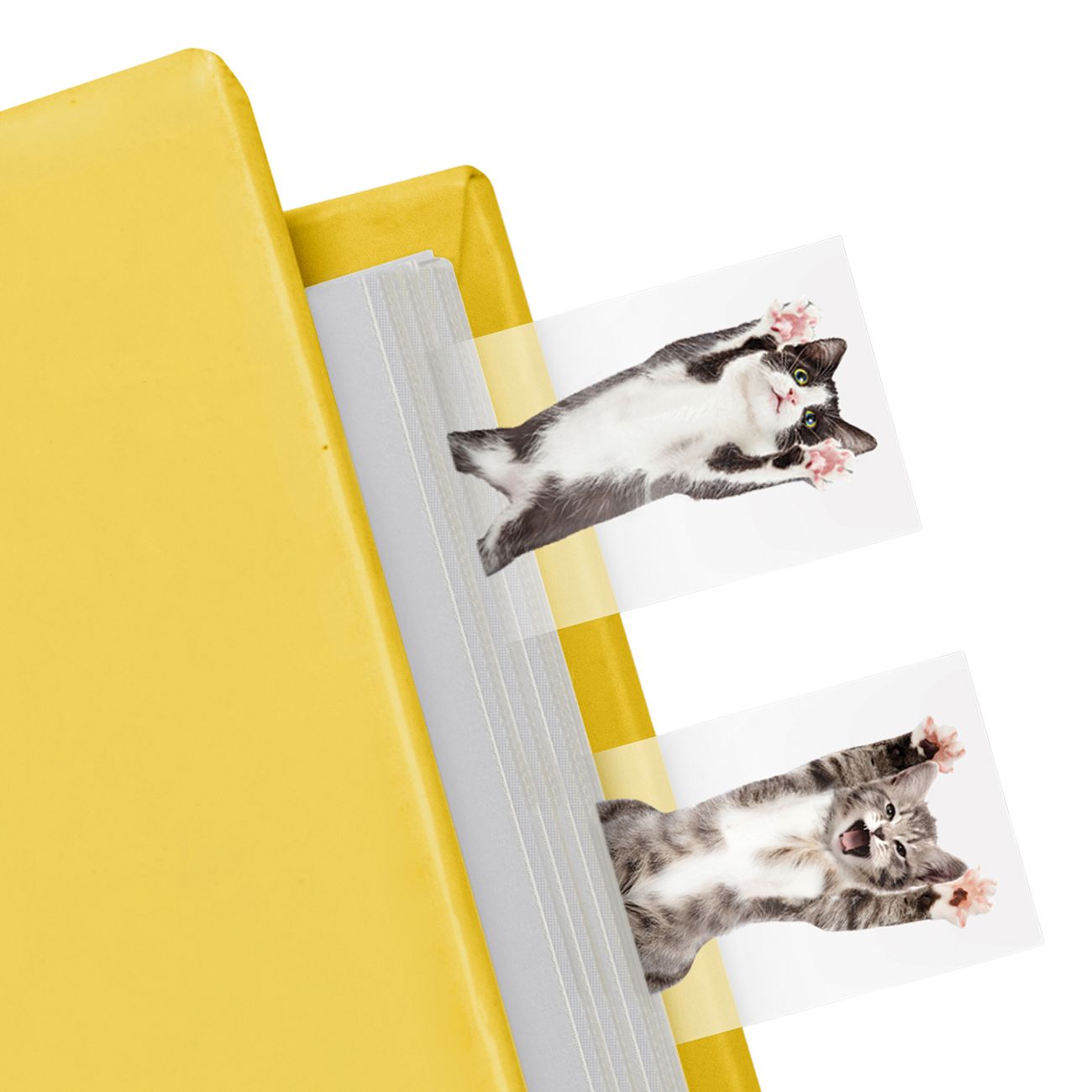 Mustard Cat in a Book Bokmerker