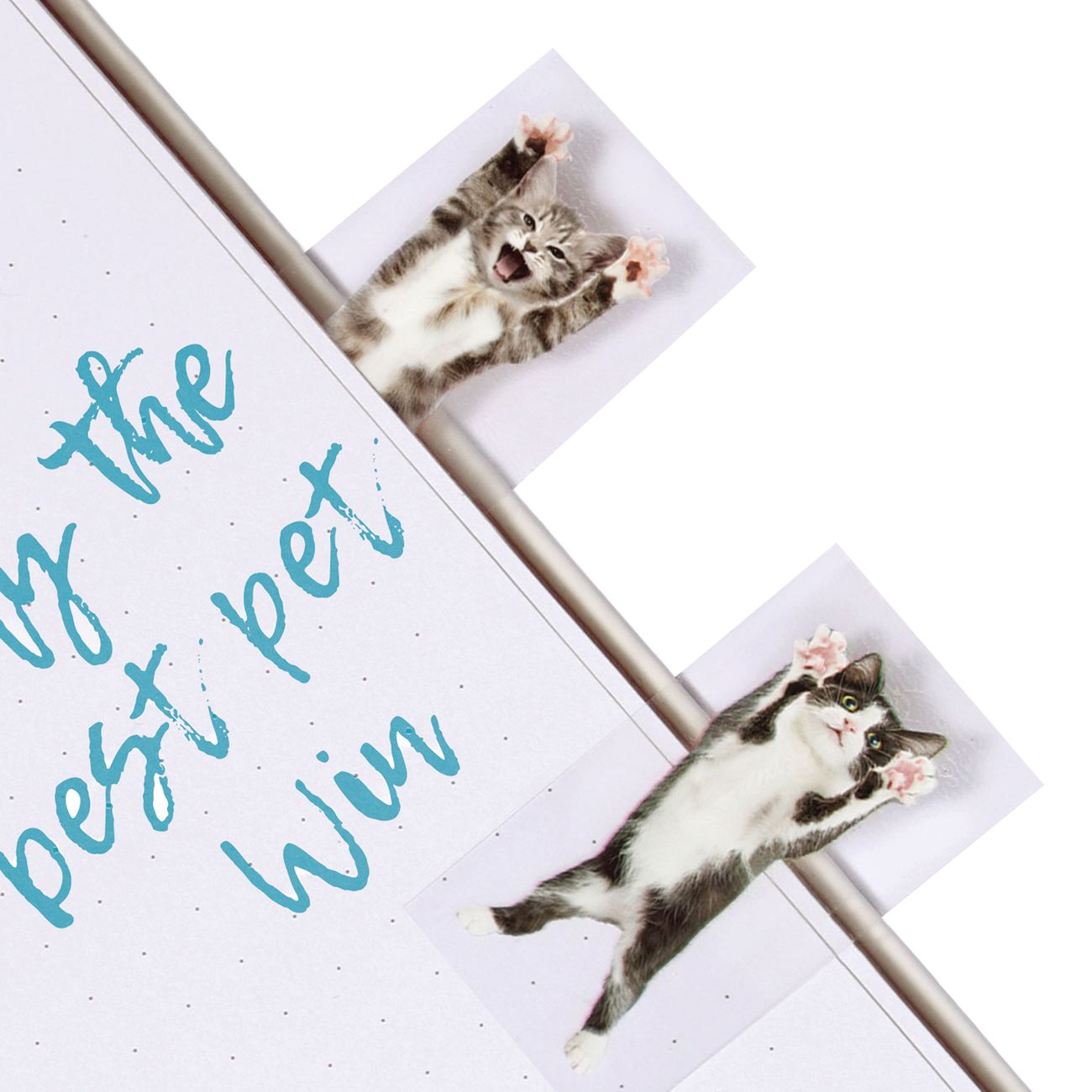 Mustard Cat in a Book Bokmerker