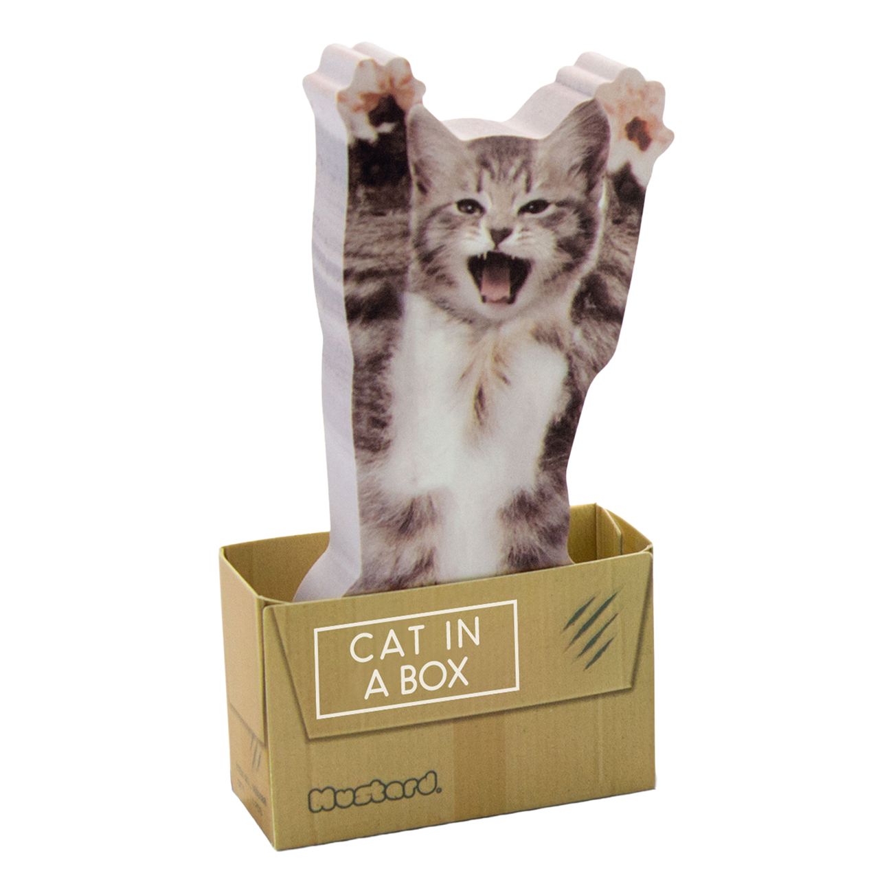 Mustard Cat In A Box Sticky Notes