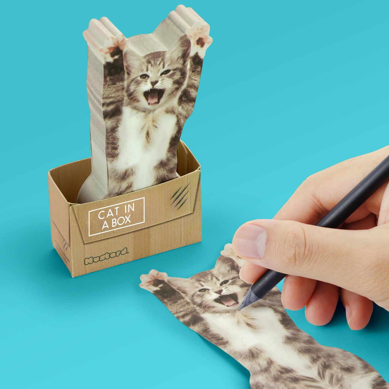 Mustard Cat In A Box Sticky Notes