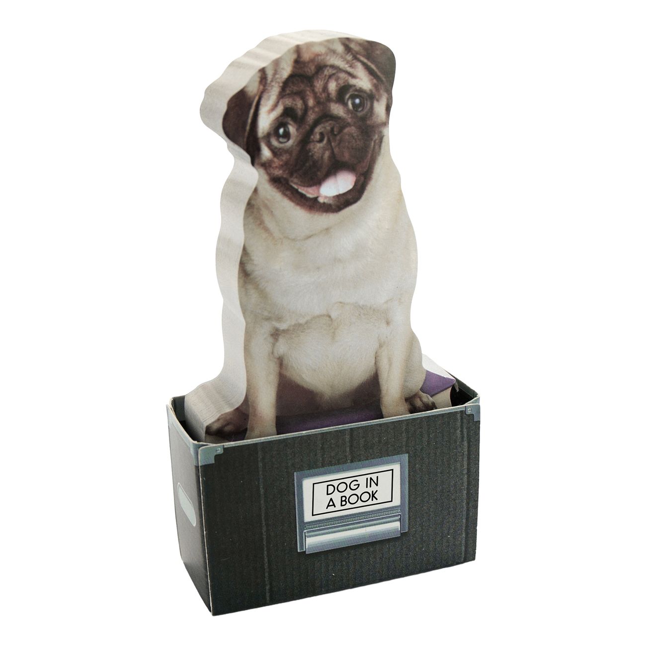 Mustard Dog In A Box Sticky Notes