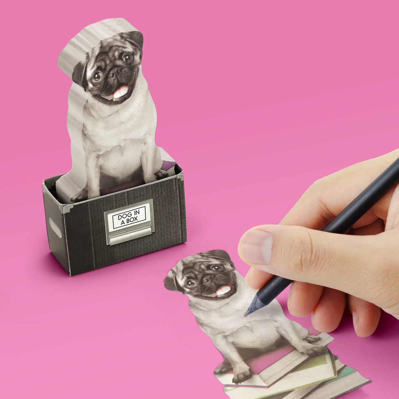 Mustard Dog In A Box Sticky Notes