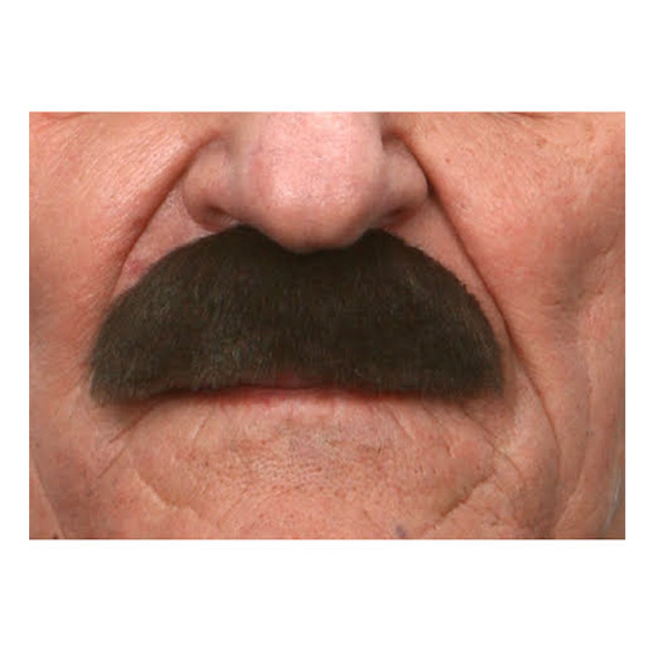 mustasch-buskig-brun-1