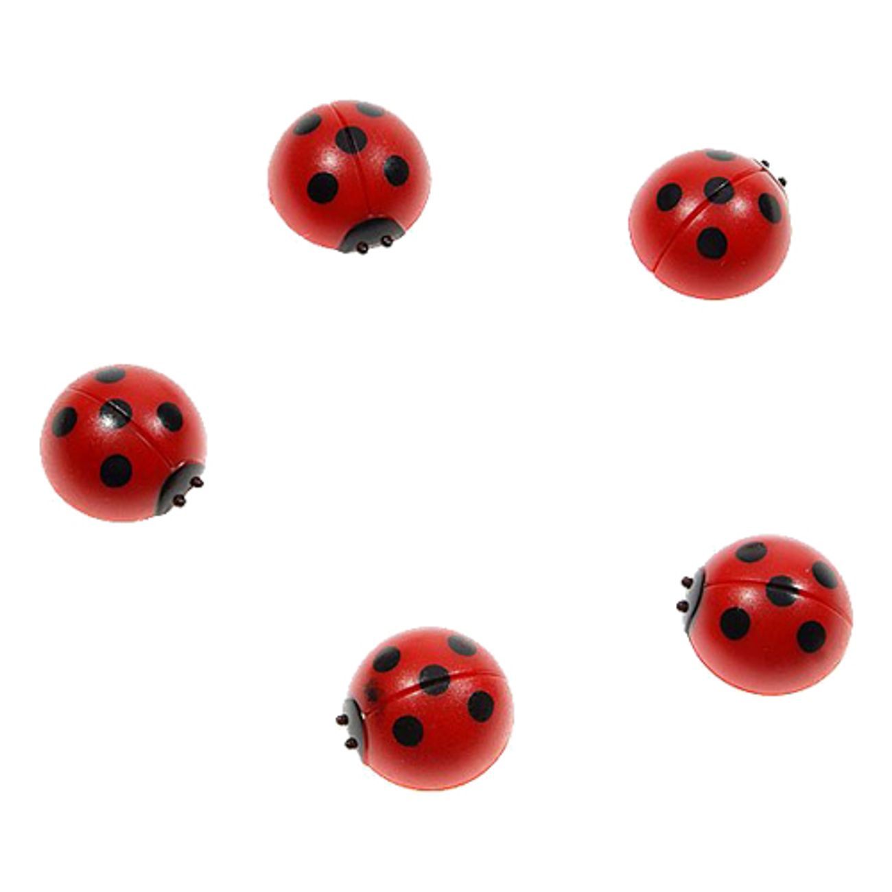 Nyckelpigor Kylskåpsmagneter