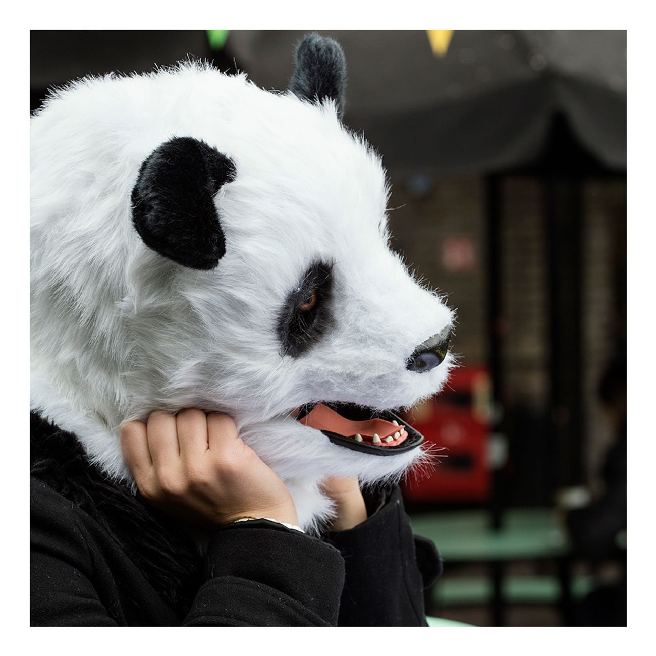 panda-med-rorlig-mun-mask-2