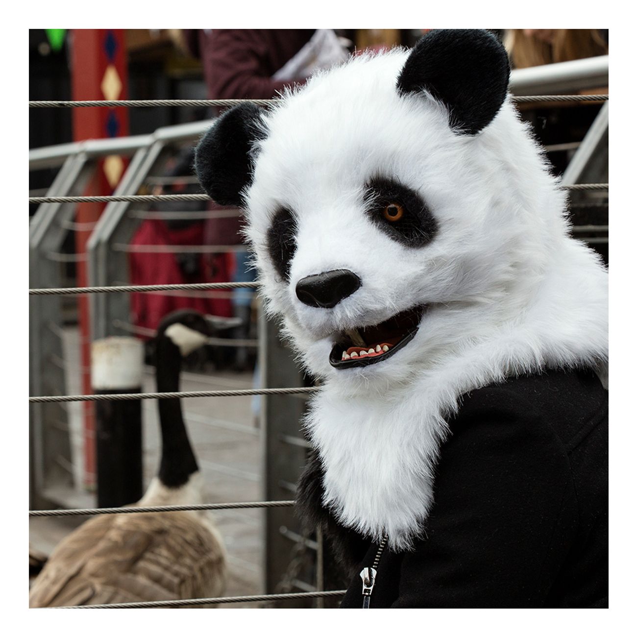 panda-med-rorlig-mun-mask-3