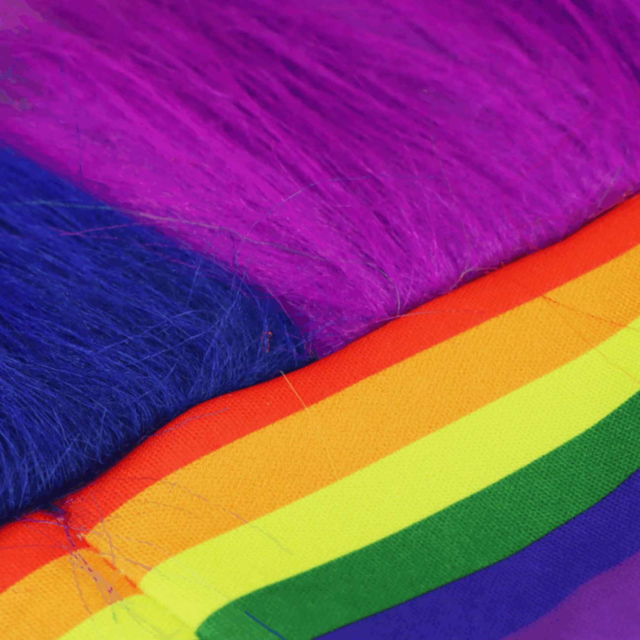 Pandebånd med Hår Pride