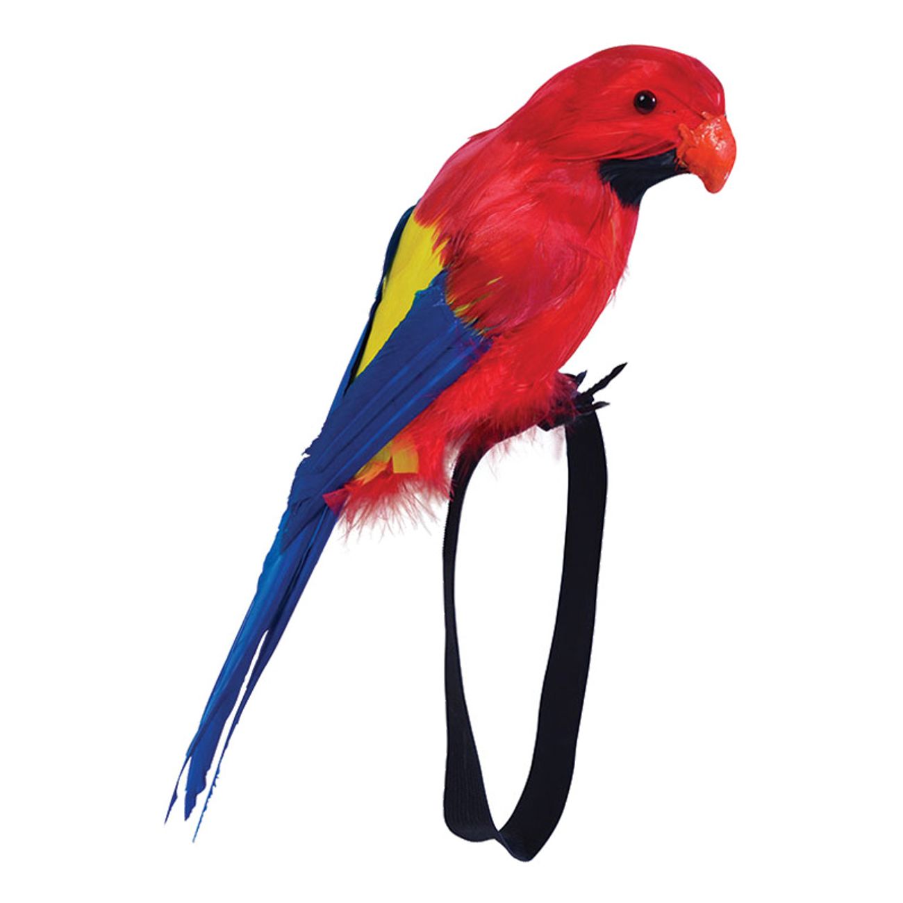 papegoja-med-handledsband-1