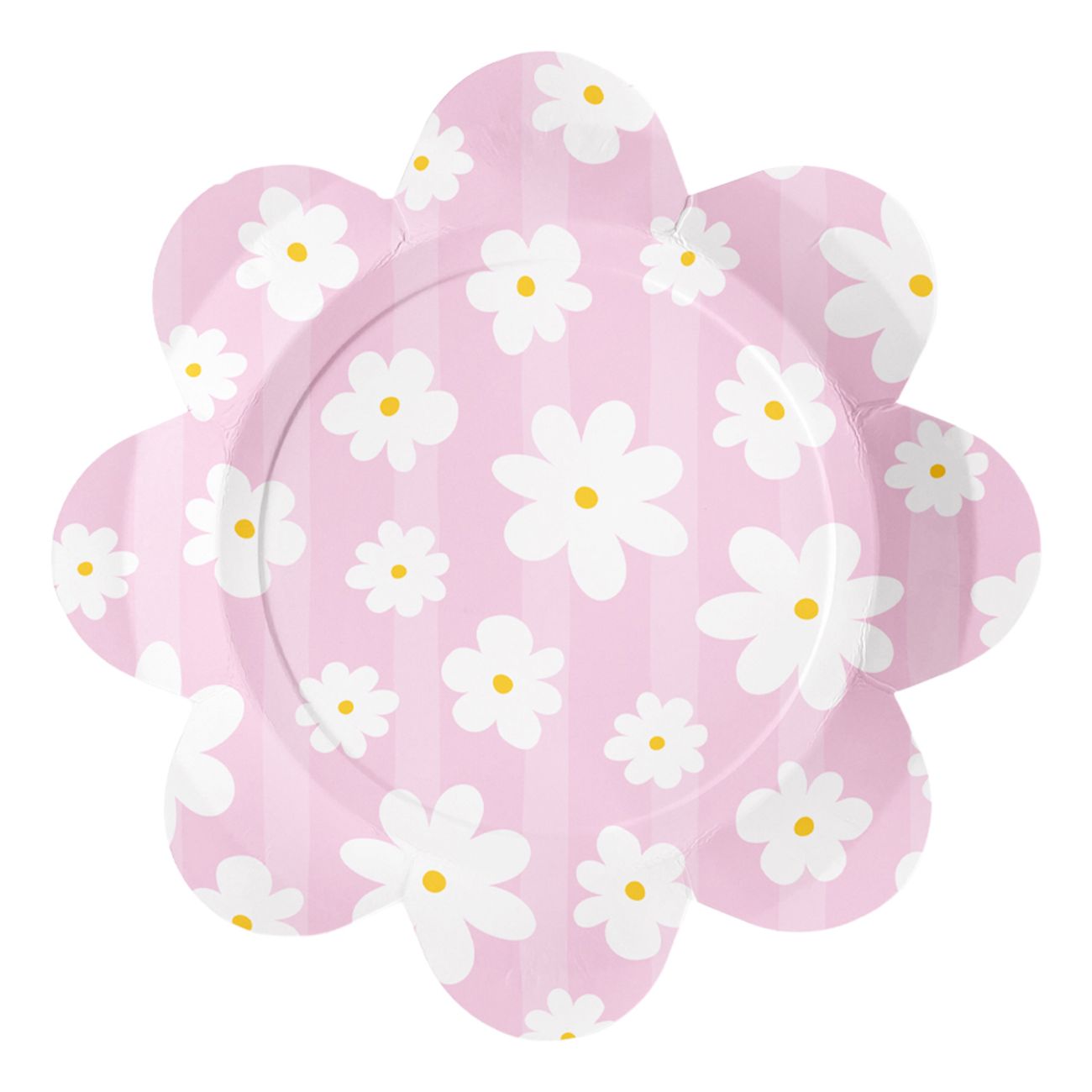 Papperstallrikar Daisies