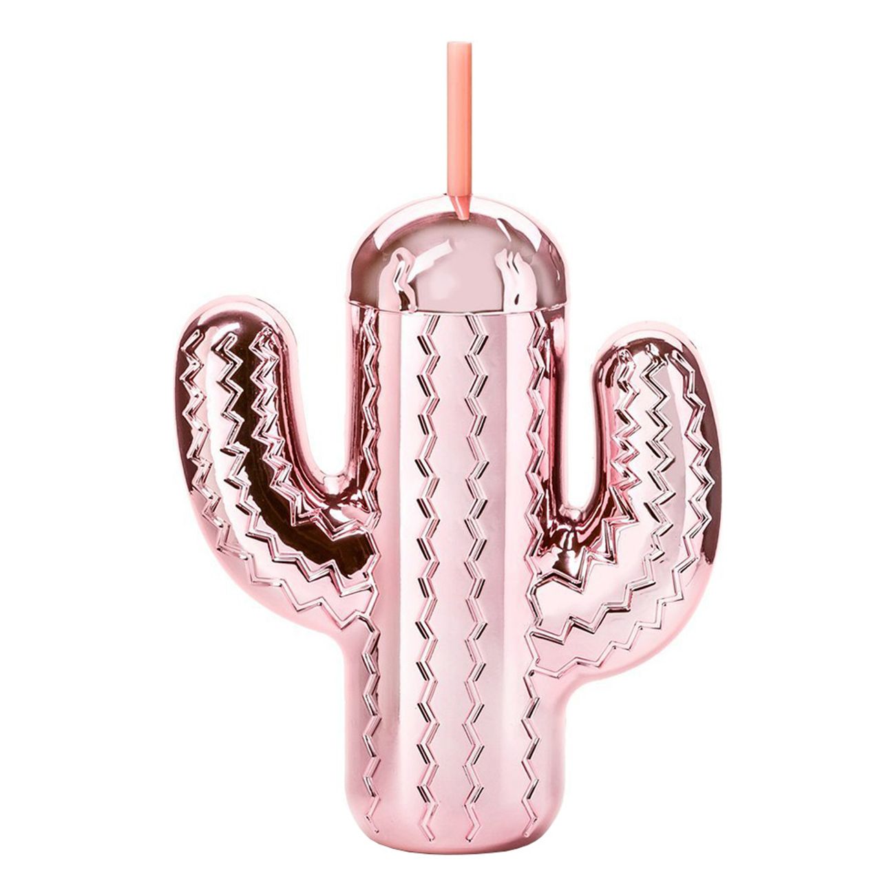 party-cactus-bottle-with-straw-1