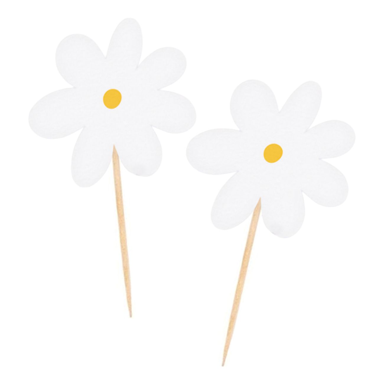Partypicks Daisies