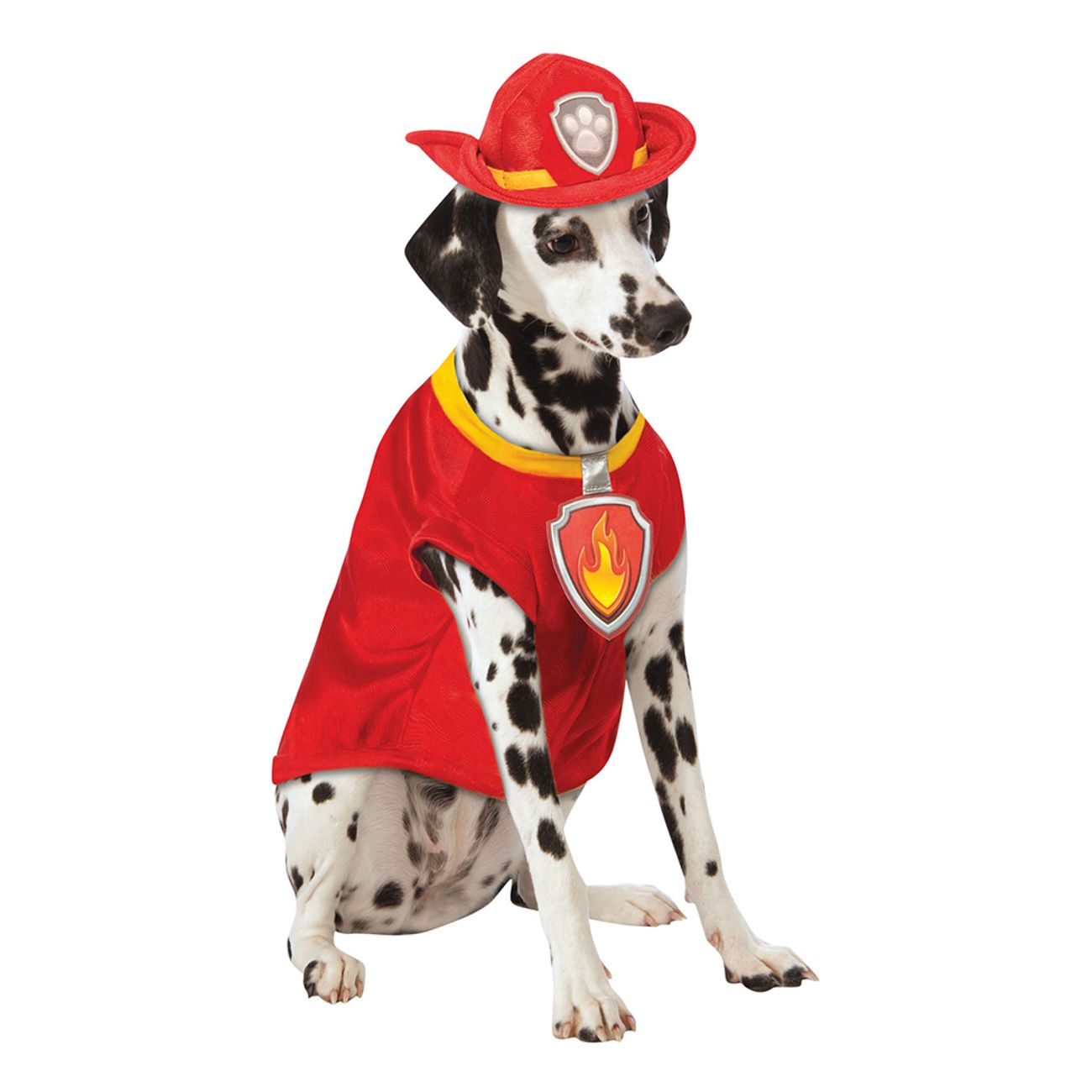 varsel Håndværker Regeringsforordning Paw Patrol Hunden Marshall Hund Kostume | Partykungen