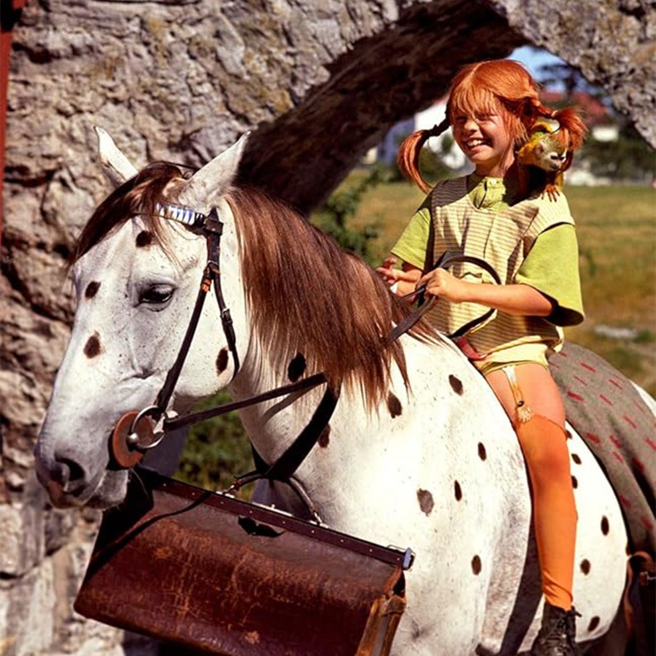Pippi Långstrump Maskeraddräkt