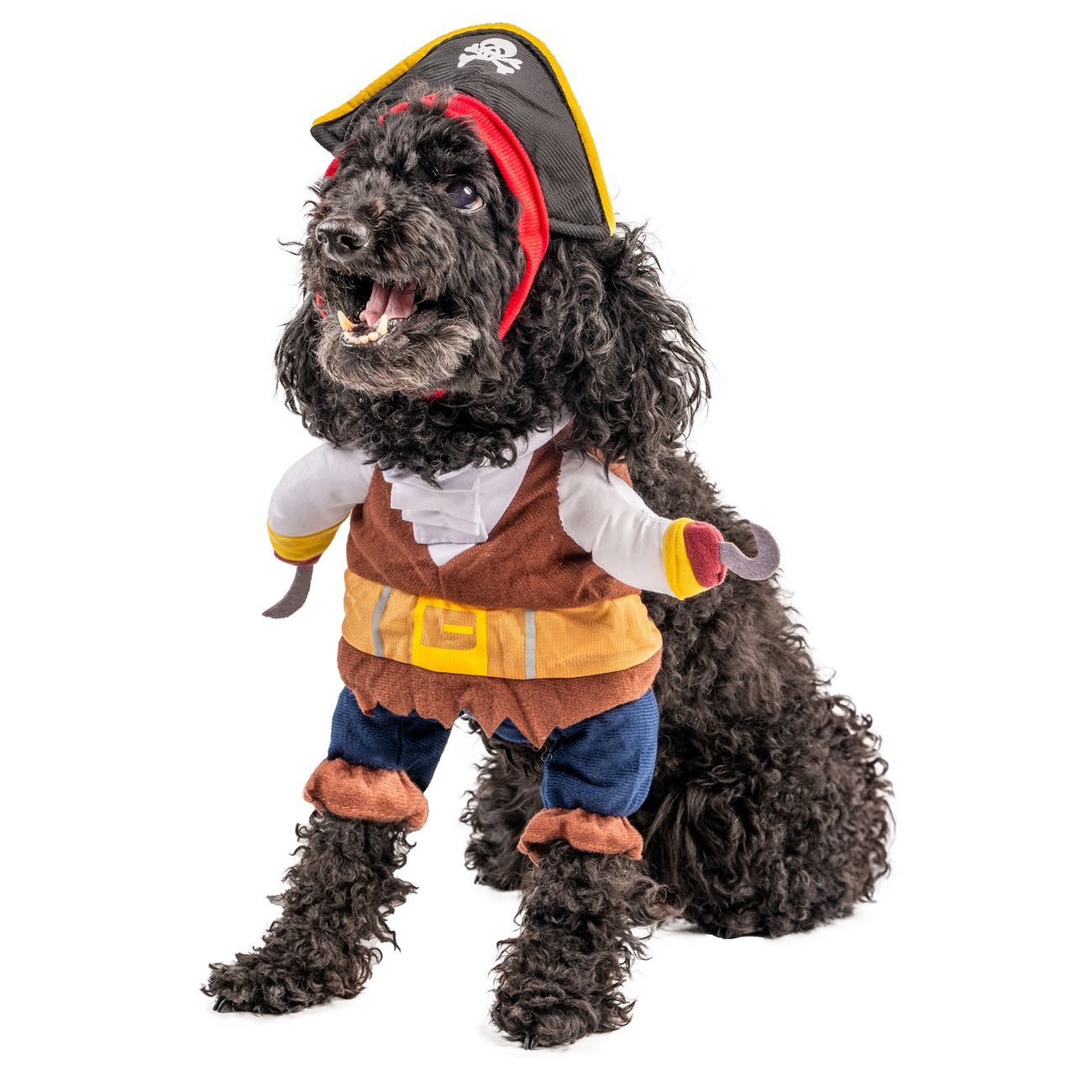 halvt padle Fyrretræ Pirat Kostume Kat/Hund | Partykungen