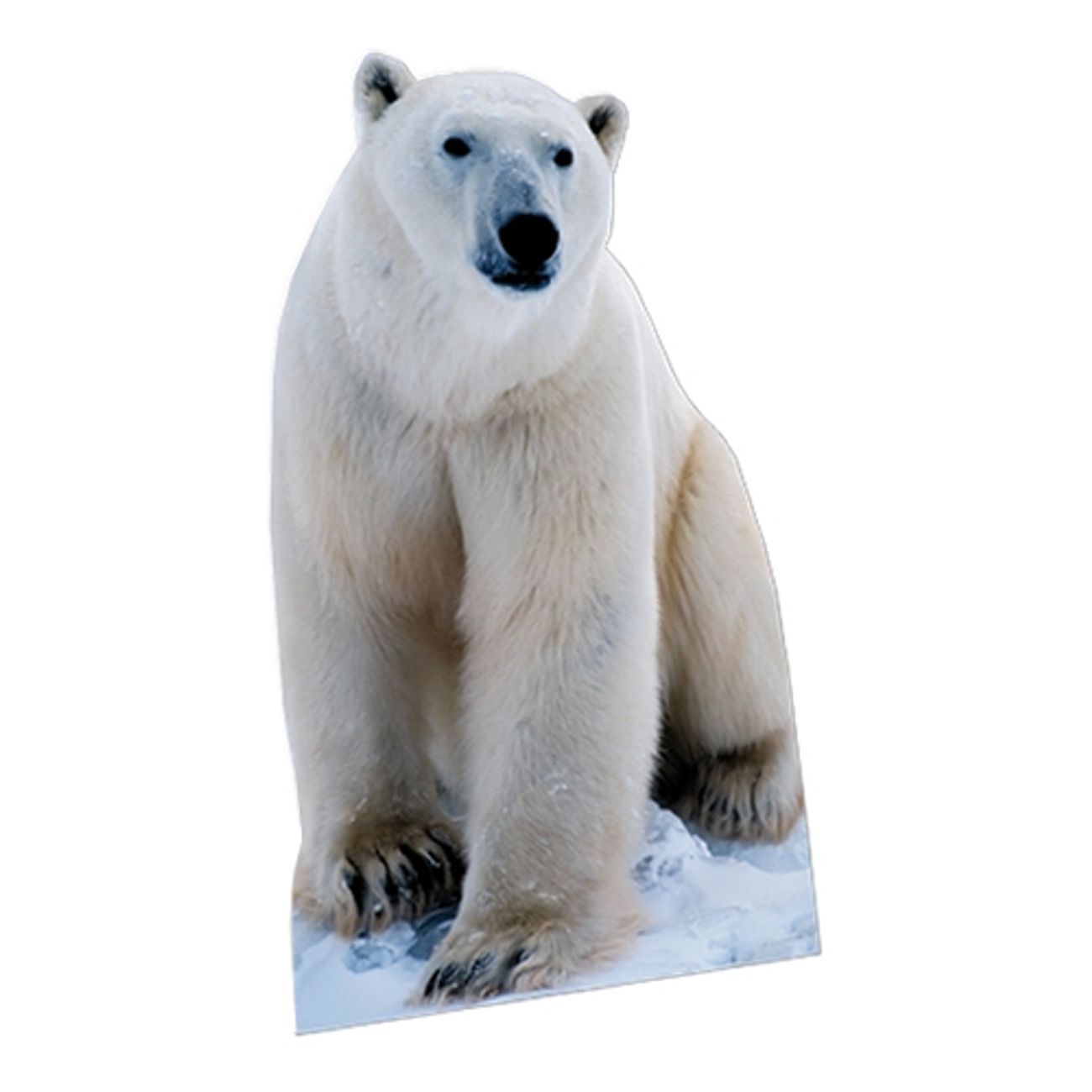 polarbjorn-kartongfigur-1