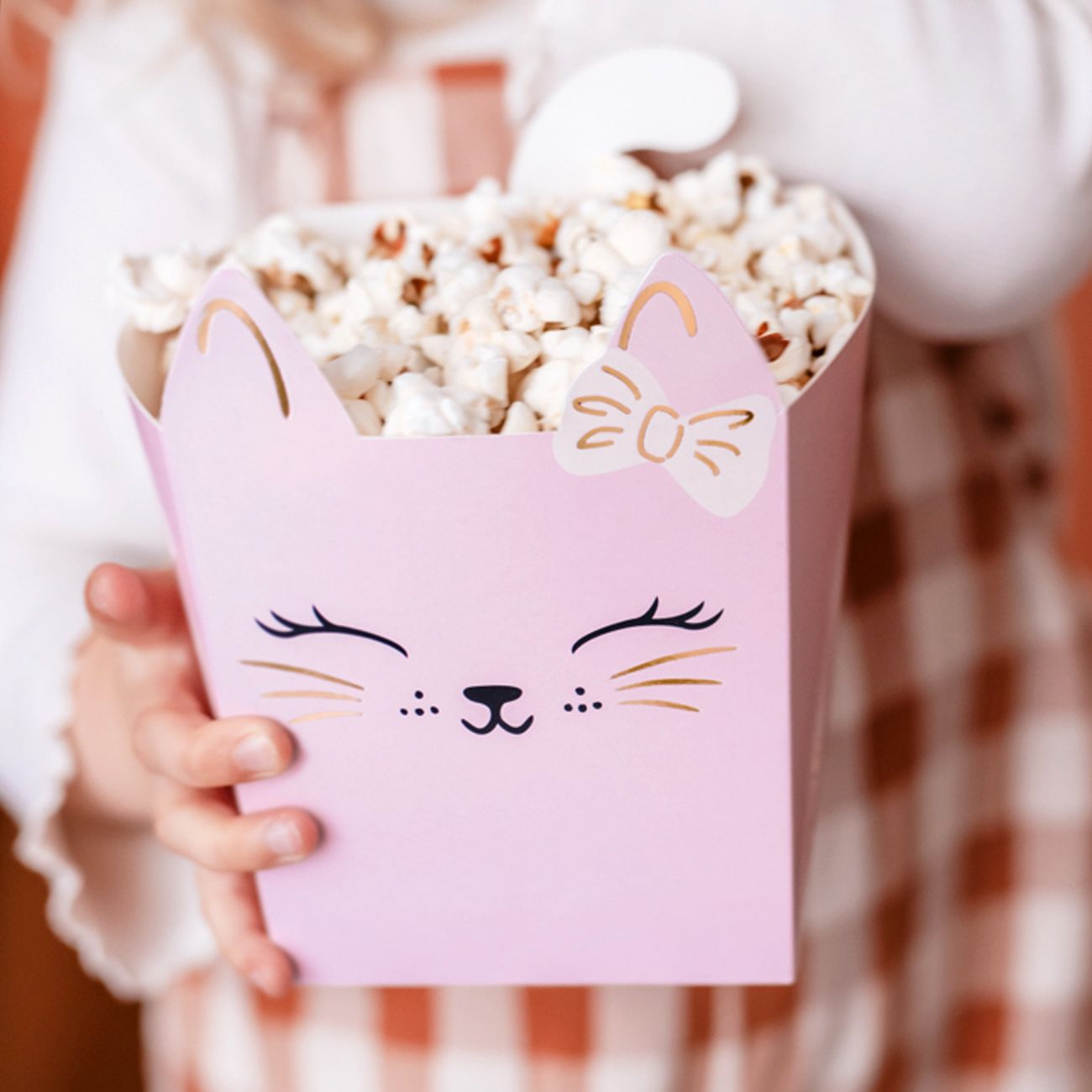 popcornbagare-katter-103969-3