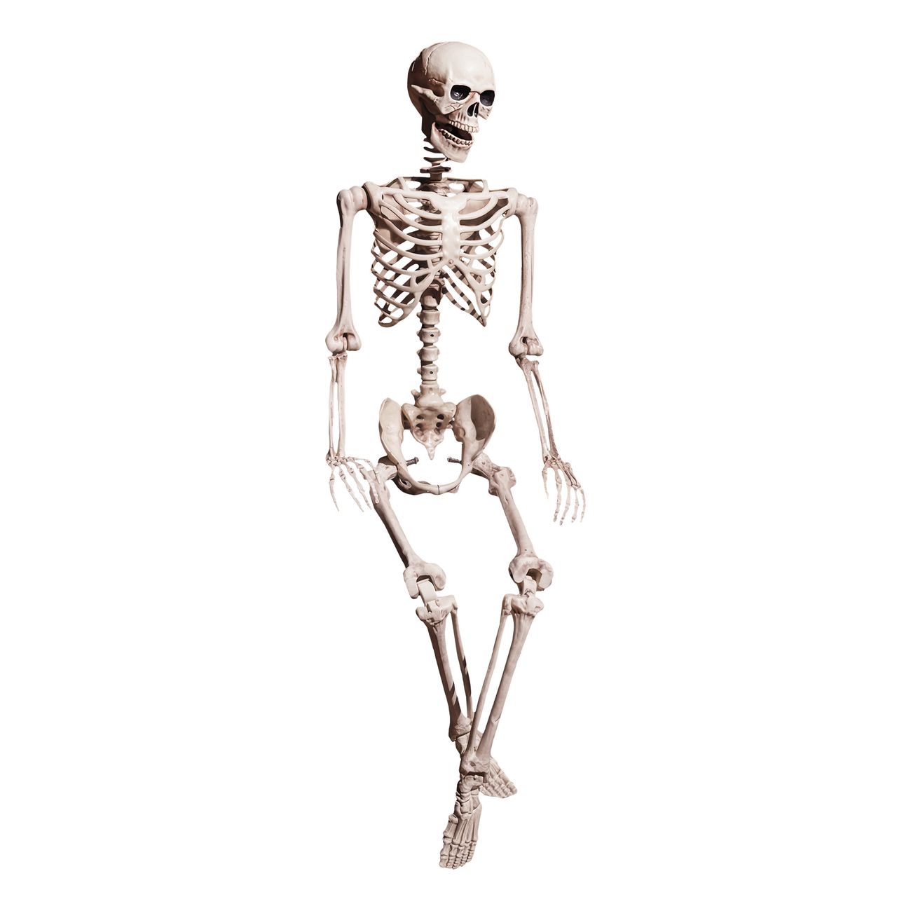 poserbart-realistiskt-skelett-98327-2