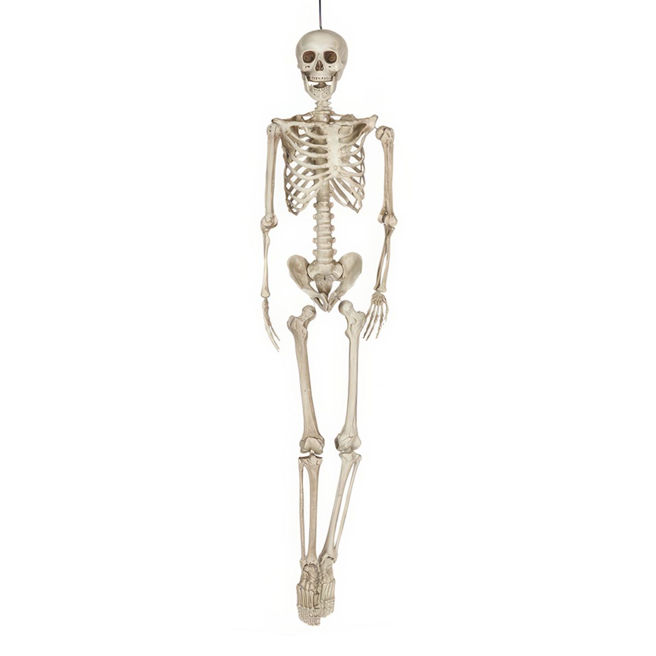 realistiskt-skelett-i-plast-96697-1