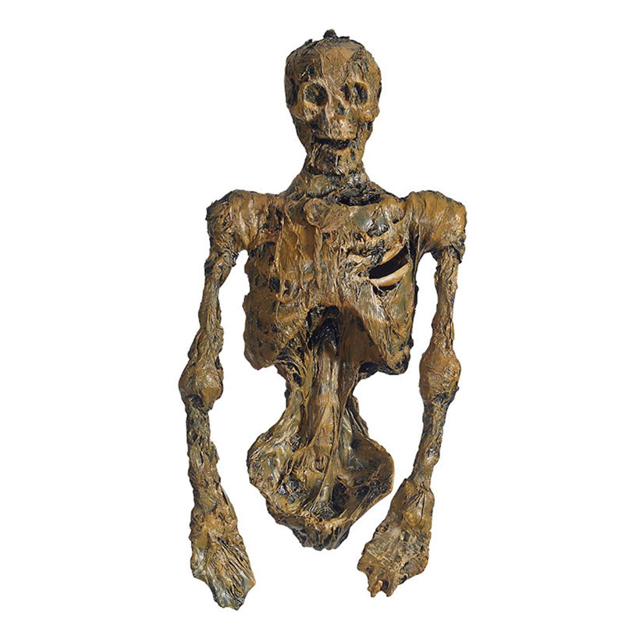ruttet-skelett-torso-prop-77843-1