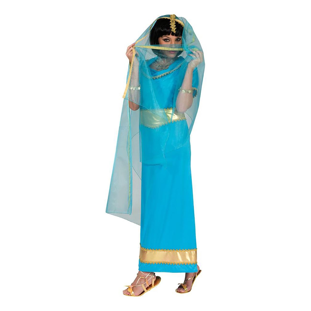 sari-klanning-maskeraddrakt-89252-1